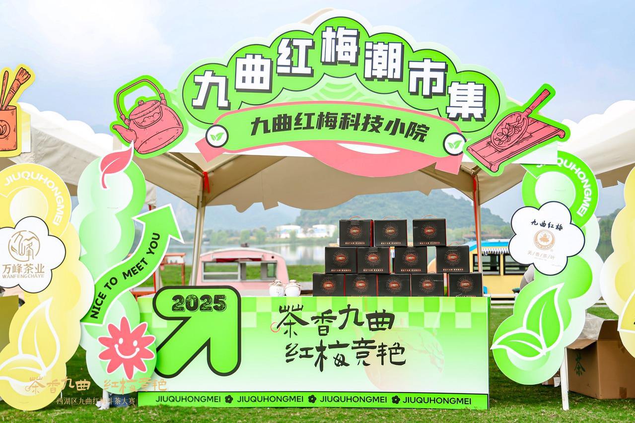 茶香九曲 红梅竞艳