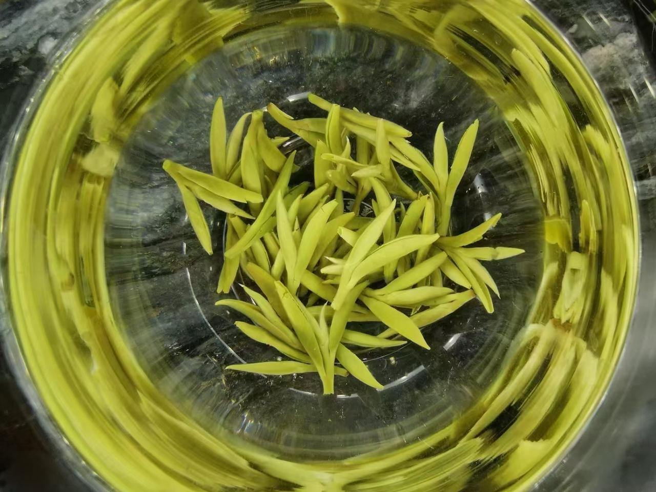 一盏蒙顶山，半部中国茶史