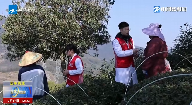 采茶“外援团”纷至沓来 暖心服务护航春茶季