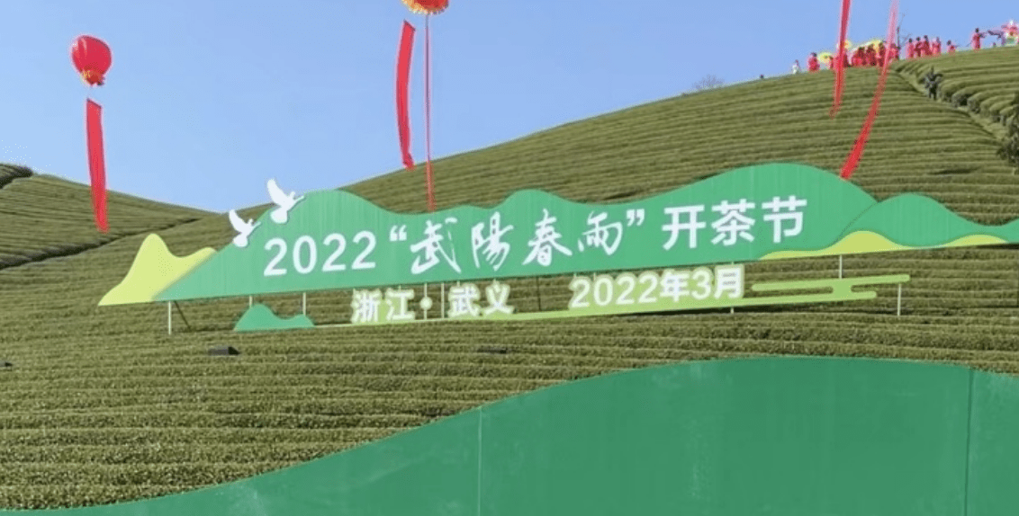 为你奉上“浙”里春天的第一口鲜！2022“武阳春雨”开茶节启幕