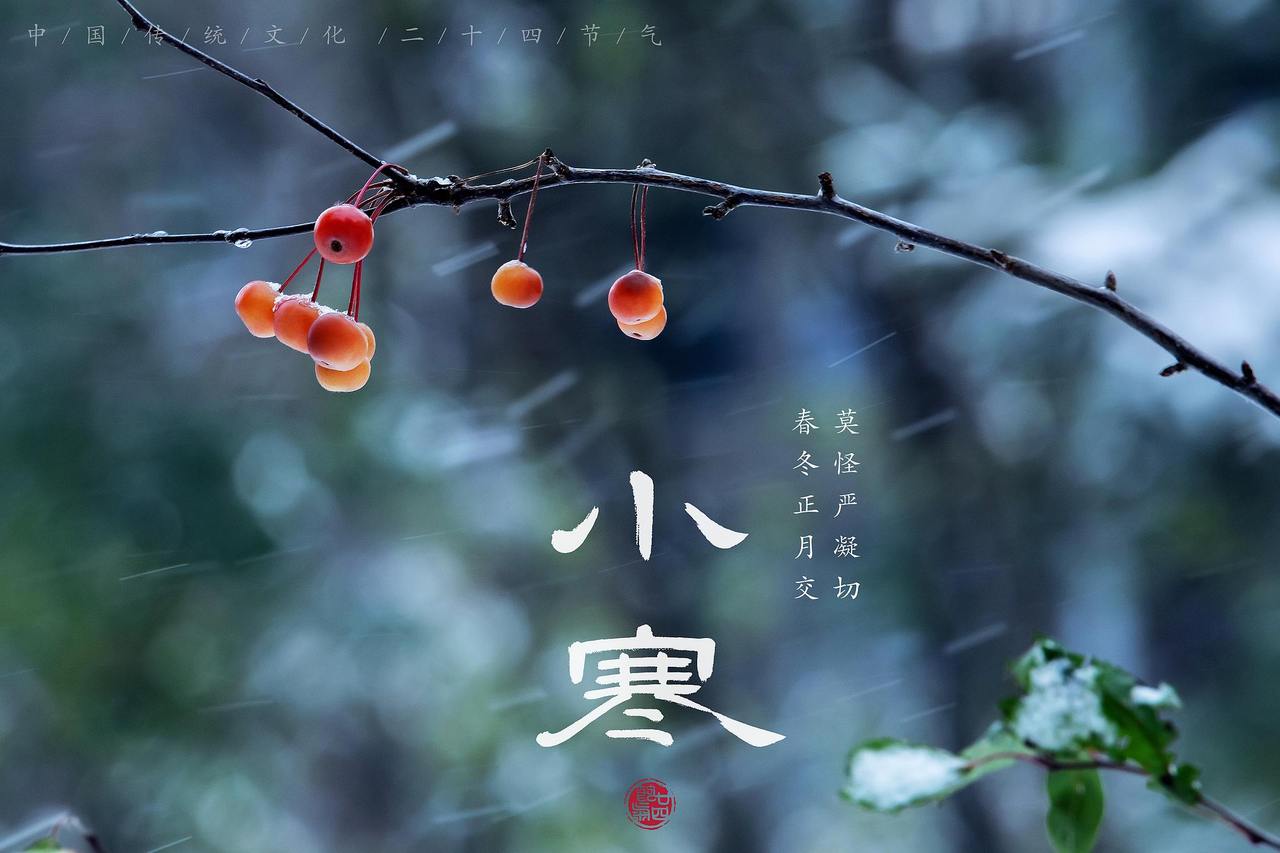 寻味中国茶｜小寒的语法：活成一个动词