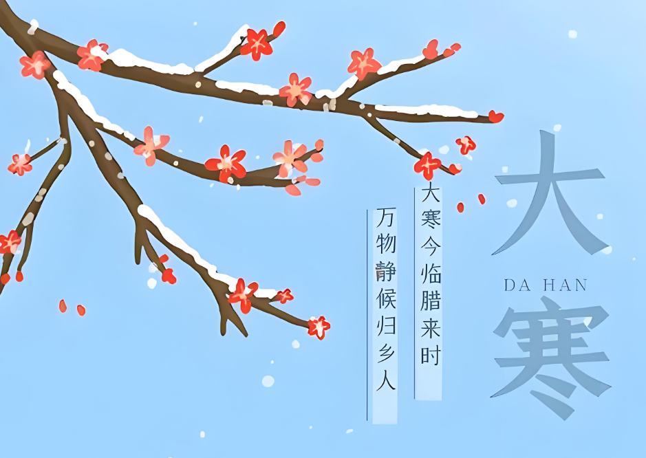 寻味中国茶｜大寒：向寒而坐，暖自心生